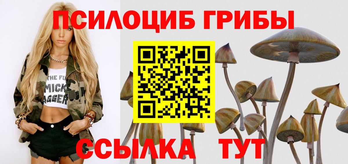 Псилоцибиновые грибы Psilocybe  Вход с VPN  Боровичи 